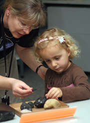 Activities for all the family