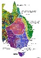 Subdivision of the Tasmanides, image used courtesy of Dick Glen. Click to enlarge image [92kb]
