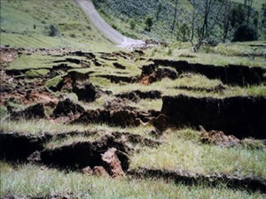 A landslide near Dungog in New South Wales. Reproduced with permission of RCA Australia.