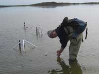 Emma Murray from Geoscience Australia in the Coorong (Copyright Geoscience Australia)