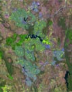 satellite image of the city you need to guess