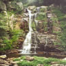 Minnamurra Falls. Click to go to Waterfalls page