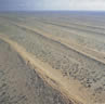 Aerial shot of a desert