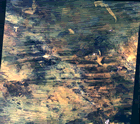 1998 Landsat image of the Great Sandy Desert. Click for larger image.