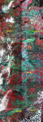 SPOT 2 image of floodwaters extending from Goondiwindi to Narrabri, click to see larger image