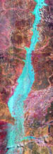 Cooper Creek. Click to see larger image