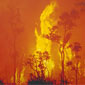 Natural Disasters Thumbnail Link