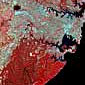 Sydney Twenty Years of Change Thumbnail
