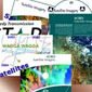 Link to How to Get Satellite Imagery and Data
