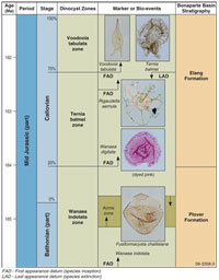 Fig 3.   Middle Jurassic portion of the Helby, Morgan and Partridge (2004) dinocyst biozonal scheme illustrated with formal marker events. 