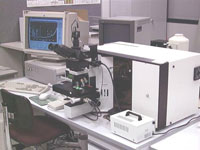 Laser raman microprobe (LRMP)