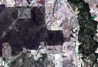 Orthocorrected product, showing nominal image data at the scene centre. Select for detailed view: 26Kb