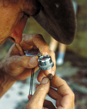 Photograph by Cindy Hann, 2002