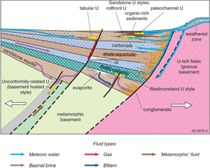 Fig 2. Basin-related uranium mineral systems, for a hypothetical basin, during extension or sag phase. 
