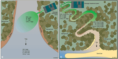 Fig 3a and 3b. Conceptual diagrams of Myrmidon and Buffalo Creeks showing geomorphology, sewage discharge points and nutrient and oxygen conditions.