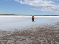 Groundwater and Landscape Interactions