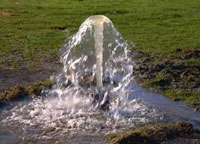 Overflowing Artesian Bore reproduced with permission from Northland Regional Council, New Zealand