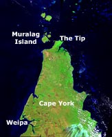 A satellite view of Cape York Peninsula and its nearby islands. &copy; Geoscience Australia.