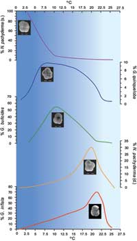 Many species of planktonic foraminifera occur in waters with a narrow temperature range which makes them very useful for tracking past changes in water temperature.