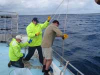 Retrieving a biological grab from the seafloor