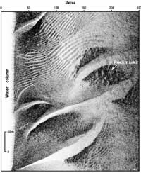 Fig 1: Sidescan sonar image of subaqueous dunes and pockmarks on the Rowly Shelf.