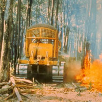 Bulldozing clearings