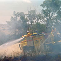 Firemen fighting bushfire
