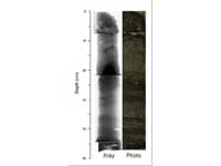 X-ray and photograph of a sediment core.
