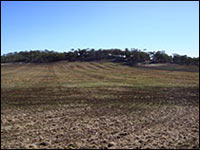 Kauring test site Hill 1 southside looking north from 505393-6470116 MGA50