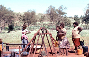 Fig 2. CAT hand-pump of the type installed at Winner�s Bore. The durability of these hand-pumps stems from their occasional use compared to the near continuous operation cycles of similar flush cap pumps used for windmill-operated systems (photo courtesy of Dr Bruce Walker).