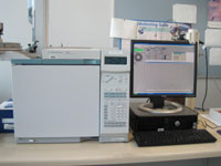 Agilent GC 6890N for liquid samples analysis.