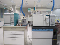 Finnigan Delta Plus XL isotope ratio mass spectrometer system.