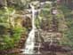 Minnamurra Falls. Click to go to Waterfalls page