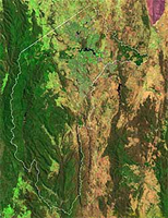Landsat 7 ETM+ satellite image, 7 November 2002 Healthy vegetation, prior to bushfires, Canberra