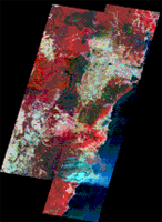 SPOT satellite image 8 January 2002 Effects of bushfires New South Wales