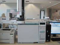 Agilent GC 6890N with 7693 autosampler for whole oil analysis.