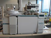 Agilent Mass Spectrometer 5973 MSD interfaced to a gas chromatograph GC 6890