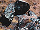 Link to Iron Ore