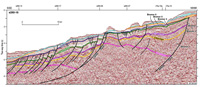 Seismic line showing the Athena and Lenita faults, and a southerly-dipping, down-stepping intra-basinal fault system, western Bremer Sub-basin