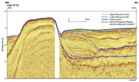 Seismic cross-section of the central Kerguelen province