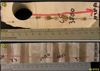 Arafura-1. a) Oil staining in sub-vertical fractures within Ordovician dolomite, b) banded oil staining within Devonian siltstone 