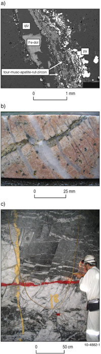 Figure 3. Illustration of the variety of scales mapped in the eastern Yilgarn Craton: a) thin section scale with contrasting fluid chemistry inferred from the mineralogy determined in this back-scattered SEM image of gold ore at Sunrise Dam; b) drill core scale with multiple generations of veins and alteration in mineralised quartz-feldspar porphyry from St Ives; c) outcrop scale mapping underground at Agnew.