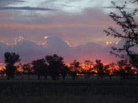 
Sunset near Urana New South Wales
