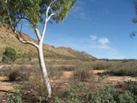 
The boundary between the Arunta Region and Amadeus Basin
.