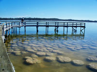 One of the winning entries from 2010 Top GeoShot. Lake Clifton, Western Australia.
