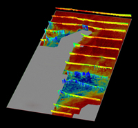 Fig 1. The Geoscience Australia layered earth inversion conductivity sections for some of the individual AEM survey lines, using 50X vertical exaggeration, over the 0 to 200 metre conductance grid for the Frome AEM survey.