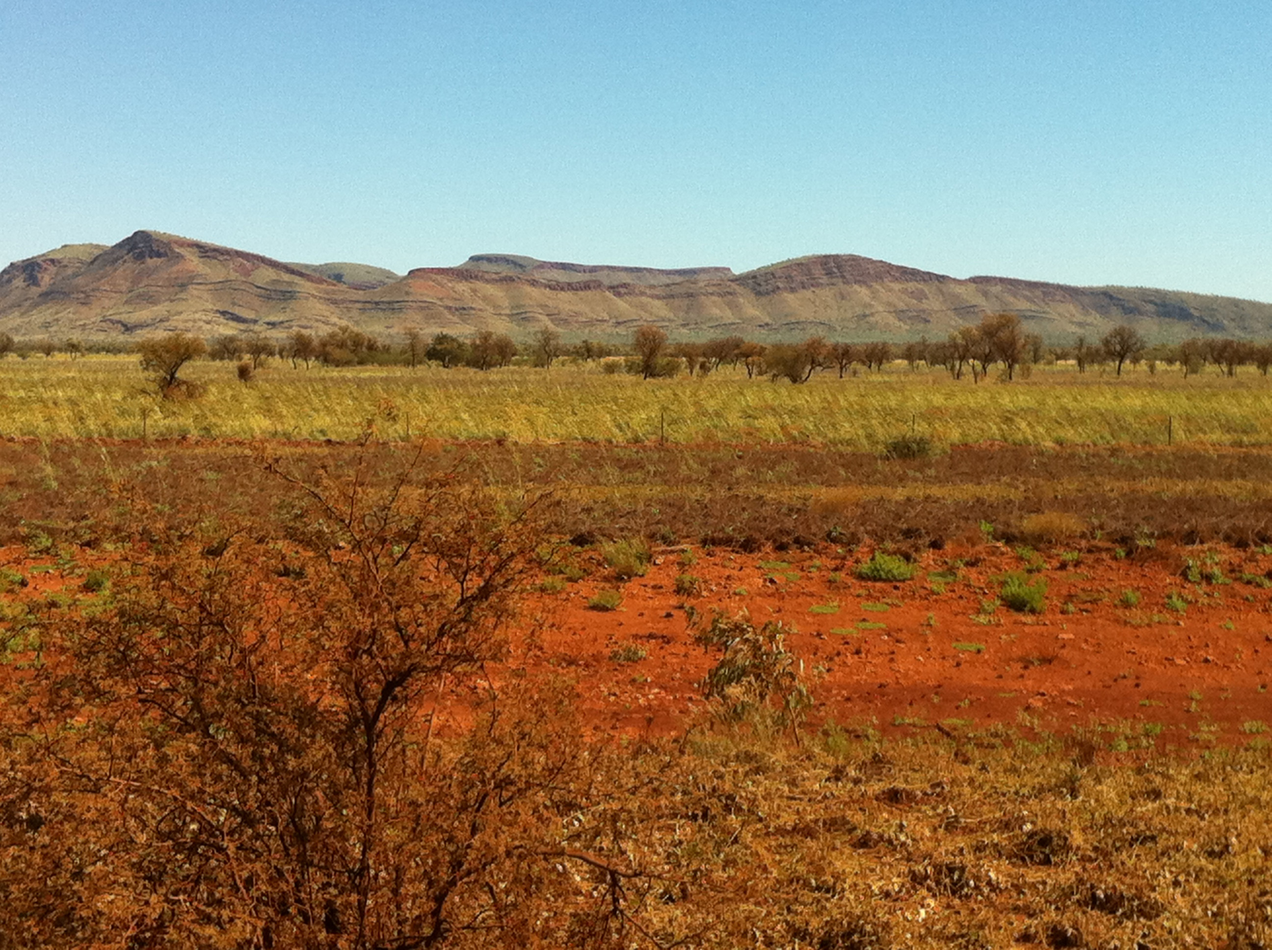 GeoShot 2011 Pilbara - Nina Pearse-Hawkins