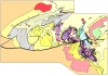 Thumbnail image of interpreted geology from the Ameroo Hill online map. GA2112.