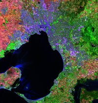 Fig 2. Melbourne in 'false colour'. Satellites generally observe in slightly different wavelengths of light to those that we see. Satellite images are therefore false-colour, but can enhance features like urbanization (mauve-purple in this image), irrigated areas and wet forests (green here), and dry grasslands (red-brown here).