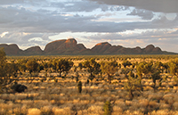 View of a flat, arid landscape with Kata Tjuta in the distance.